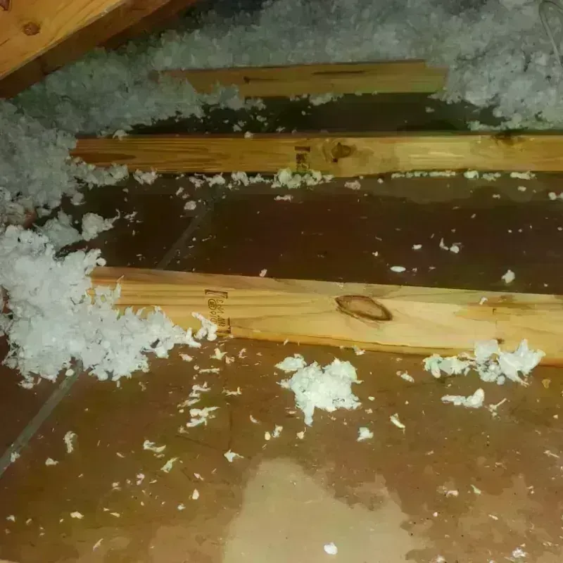 Attic Water Damage in Whitehouse, TX